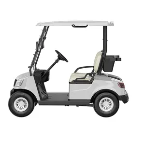Mini 2 kişilik elektrikli Mini Golf arabası