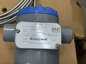 STR700/STR73D SmartLine Joint d'étanchéité à diaphragme à bride à distance en acier 316L, étanchéité IP68, haute précision - Product Image 4