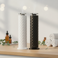 Diffuseur d'huiles essentielles silencieux sans eau, à piles, avec coque en plastique PP, bouteille de recharge de 120 ml, rechargeable par type C