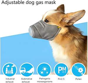 Dapat diatur 6 buah dapat digunakan kembali anjing <span class=keywords><strong>Gas</strong></span> wajah masker asap bernapas sekali pakai anjing Filter udara perlengkapan pelatihan hewan peliharaan - Product Image 4