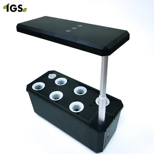 IGS-28 Home Plant Growing System Smart Garden Home Hydroponic Growing Systems With Automatic Timer