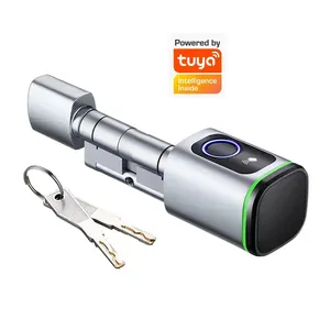 Tuya App Impressão Digital Rfid IC Card Chave Ttlock Porta Cilindro Inteligente Bloqueio Para Substituir Cilindro Mecânico Antigo