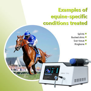 Máquina de cuidado de animales, fisio y magneto para lesiones deportivas, terapia de choque veterinaria, magnawave, pemf - Product Image 4