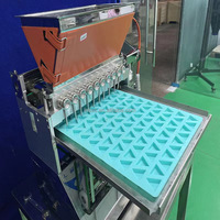 Machine à couler le chocolat pour la production de bonbons mous, équipement de coulage de bonbons durs, moule personnalisé pour le coulage de la pâte à couler