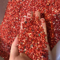 Coral Rouge Poli de Sardaigne Italie-Mer Méditerranée Déchets Restants pour l'Industrie Médicale & Cadeaux Usine Corallium Rubrum