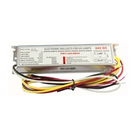 Lampe UV de petite taille 4W 6W 8W 10W purificateur d'air à lumière ultraviolette DC24V alimentation pilote de lampe PH15-180-10D24 Ballast électronique