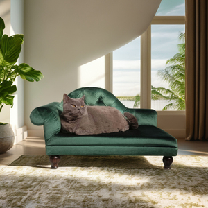 Luxurious Indoor Velvet Pet <b>Bed</b> Modern Solid Wood Design <b>Dog</b> <b>Sofa</b> Couch Comfortable with Stylish Animal Pattern <b>for</b> Cats - Product Image 4