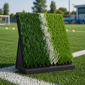 <span class=keywords><strong>Erba</strong></span> Sintetica per Campi da Calcio, Progetti di Costruzione di Accademie Sportive e Sviluppo Sportivo Giovanile - Product Image 1