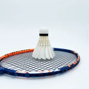 Superior Offensive Carbon Badminton Racket Professional Graphite Shaft with Hard Racket and Bag Wholesale OEM/ODM