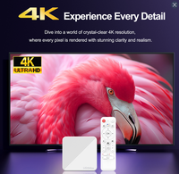 Boîtier TV 4K Quad Core OEM GRATUIT, 2 Go de RAM, 16 Go de ROM, Allwinner H313, WiFi double bande, Android Set Top Box H96MAX