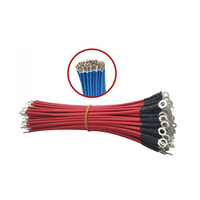 SYS SiAF 4 mm2 Silicone isolierte Glasfaser geflochtene Drähte für Geschirr