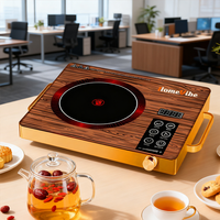 Cuisinière électrique infrarouge, plaque chauffante en céramique électrique, cuisinière à induction portable, four électrique, cuisinière électrique
