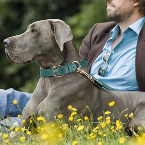 <span class=keywords><strong>Collar</strong></span> de perro de cuero ajustable clásico de marca de lujo superventas fabricante <span class=keywords><strong>collar</strong></span> de perro Correa conjunto - Product Image 5