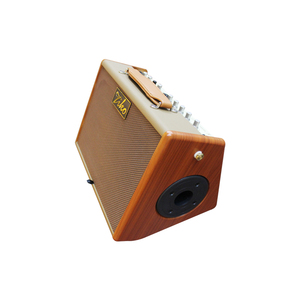 Amplificador de <span class=keywords><strong>Guitarra</strong></span> Portátil Multifunción <span class=keywords><strong>BM</strong></span>-35 Ziko con Altavoz de 35 Vatios - Product Image 1