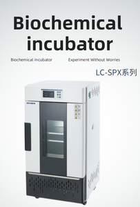 Incubadora de calefacción eléctrica de laboratorio multifuncional Dispositivo de temperatura constante Bioquímica de temperatura microbiológica - Product Image 3