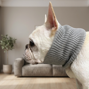 Personalised Sizes Ecofriendly Collar Cat Personalized Color logo - Product Image 1