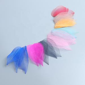 Feuilles séchées pressées style Ins, matériau gaufré pour DIY, feuillage coloré naturellement teint, créatif pour la fête des Mères - Product Image 2
