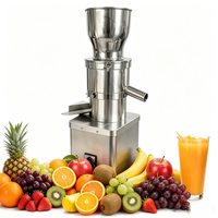 Extracteur de jus commercial à pression à froid en acier inoxydable, machine électrique pour fruits et légumes, jus de gingembre et de pomme