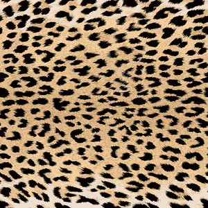 Juego de Funda de Edredón 100% Algodón Diseño Maculato Francés Individual 200x200cm - Product Image 3