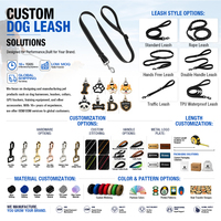 Pour une laisse de chien Mazon Top Seller avec poignée rembourrée Matériau réfléchissant en nylon durable Laisse pour animaux de compagnie à rayures rondes avec ruban
