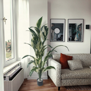 <span class=keywords><strong>Piante</strong></span> Artificiali di Alta Qualità all'Ingrosso, Decorazioni per la Casa, <span class=keywords><strong>Piante</strong></span> <span class=keywords><strong>Sempreverdi</strong></span> in Vaso, Decorazioni per Giardini, Feste e Hotel - Product Image 6
