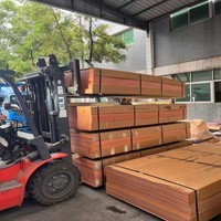 Tablero de baquelita rojo naranja de procesamiento personalizado 3021 hojas de baquelita laminadas de papel fenólico aislante 4x8 para mecanizado CNC