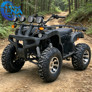 Cuatrimoto LNA de 4 Ruedas y 250cc, Emocionante y Confiable para Flotas de Alquiler - Product Image 5