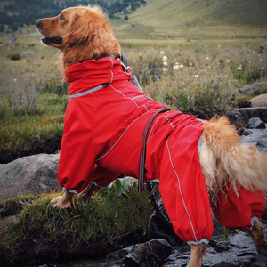 Manteaux de <span class=keywords><strong>chien</strong></span> coupe-vent imperméables de couleur unie de haute qualité vêtements de luxe pour animaux de compagnie pour grand <span class=keywords><strong>chien</strong></span> - Product Image 2