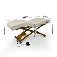 Table de massage moderne de haute qualité, lit de spa cosmétique électrique à 1 moteur, fauteuil facial, lit de beauté pour salon