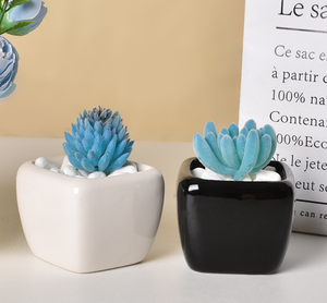 Mini pot carré en céramique noir et blanc MDJ pour plantes succulentes, avec trou de drainage, design minimaliste écologique, décoration de bureau à domicile, 0,3 kg - Product Image 6