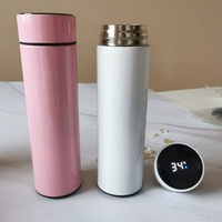 Offre Spéciale Faible Quantité Minimale De Commande OEM Double Paroi Isolée 500ml En Acier inoxydable Vide Sport Thermique Smart ECO Bouteille D'eau