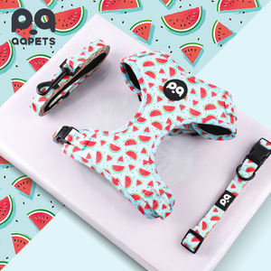 QQPETS özelleştirilebilir çeşitli stil köpek tasma ve zincir seti, kişiselleştirilmiş Logo ile ayarlanabilir naylon Pet ürünleri - Product Image 3