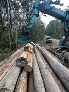 Grappin à griffes hydraulique certifié CE <span class=keywords><strong>pour</strong></span> <span class=keywords><strong>mini</strong></span>-excavatrice, grappin forestier <span class=keywords><strong>pour</strong></span> bois - Product Image 5