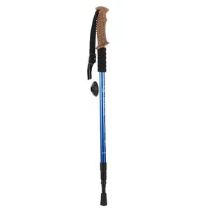 2022 Cross Country Ski Poles Skiing Cane Double Board Stick Adjustable Ski Pole