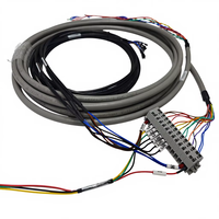 Connecteur de bornier OEM sur mesure, longueurs 400 mm / 450 mm / 500 mm, faisceau de câbles industriel multi-conducteurs