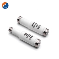Fusible céramique HRC 1600kV 120kV 24kV 12kV 1000V 600V, isolateur de coupure, lame de fusible Hinode, fusibles en céramique porcelaine 300 ampères
