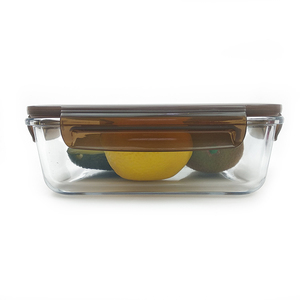 Eco-friendly China Factory Price Glass Container Box With Airtight Lid