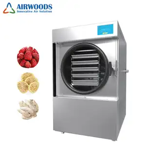 Home Vegetables And Fruits Lyophilizer vacuum freeze dryer machine for food