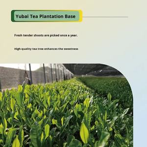 Pasto verde <span class=keywords><strong>Matcha</strong></span> japonés 1kg <span class=keywords><strong>Matcha</strong></span> en polvo para hornear postre café té de la leche helado instantáneo ingrediente salud comercial - Product Image 6