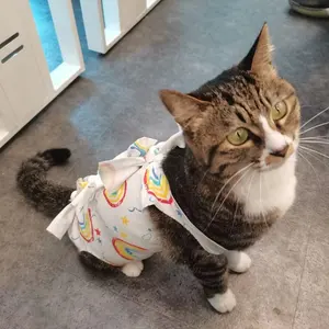 Cat Recovery Suit For Female/male Product Weaning Cotton Breathable Pet Cloth Hospital Surgical Taping Bundle Clothing