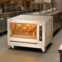 Four à rôtir au gaz en acier inoxydable pour poulet, avec hublot et éclairage interne