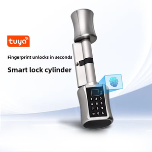 قفل أسطواني ذكي من تويا مصنوع من سبائك الزنك مع بصمة الإصبع للأبواب، قفل رقمي بلوحة مفاتيح إلكترونية للشقق والمكاتب - Product Image 3