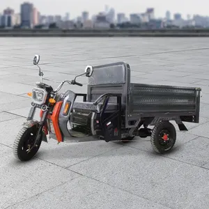 Triciclo 3 ruote per adulti triciclo Cargo pesante su misura tre ruote moto Cargo triciclo elettrico per la vendita