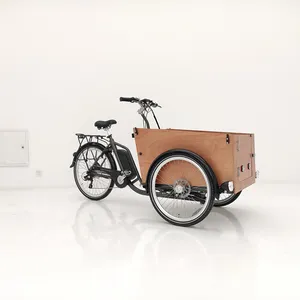 家庭电动货运自行车三轮送货自行车250瓦电机三轮货运自行车