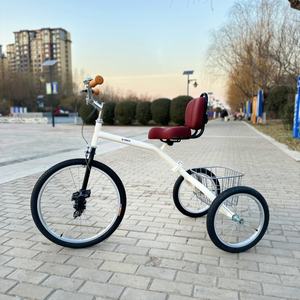 2025 más nuevo Popular Retro <span class=keywords><strong>bicicleta</strong></span> de tres ruedas 22/16 "Triciclo de ocio urbano plegable - Product Image 3