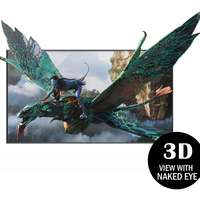 Lecteur de publicité 3d à œil nu Résolution HD 4k Moniteur d'affichage portable 3D sans lunettes