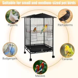 Modern yeni geldi ispinoz kuş kafesi Papagaios Aguias Para Criancas kuş yetiştiriciliği yuva demir kuş evleri - Product Image 2