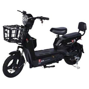 Scooter Eléctrico Golden Eagle, Tipo Estándar de 50 kg, Batería de Plomo-Ácido, Transporte para Adultos - Product Image 5