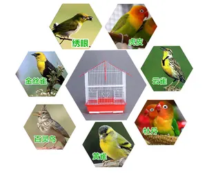 الصين مصنع أرخص الجملة المستوردين قفص الطيور الطيور قفص تربية الحيوانات
