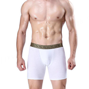 Alta calidad 95% algodón 5% spandex hombres bragas hombres pierna larga Boxer ropa interior de algodón nuevo elegante panty de pierna larga - Product Image 3